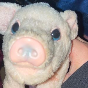 A pig toy
